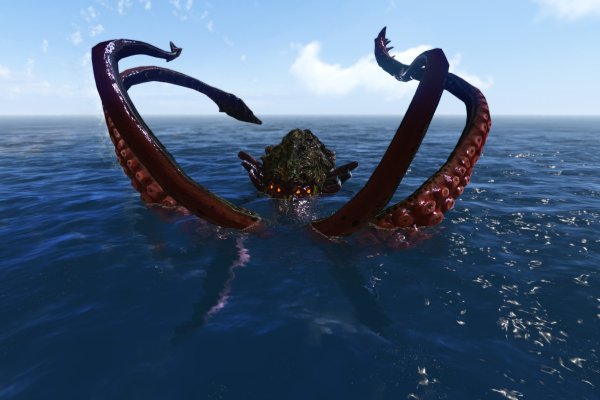 Kraken biz