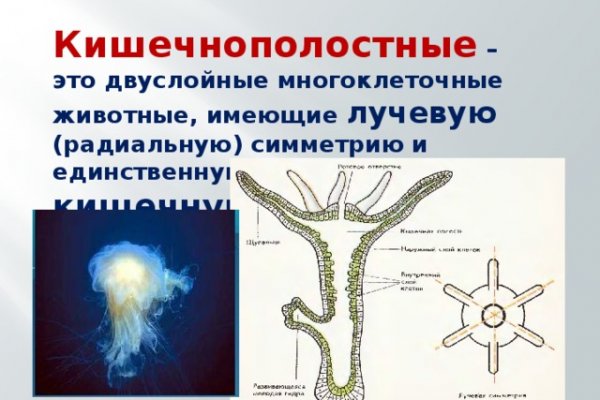 Ссылка в даркнет