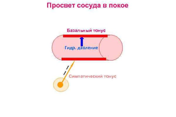 Пользователь не найден кракен